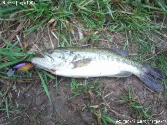 �֥�å��Х�