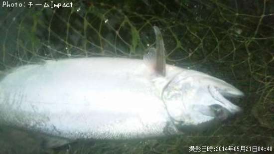 ������ޥ�