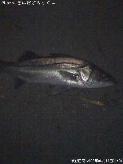 �����Х�