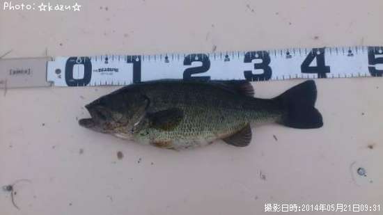 �֥�å��Х�