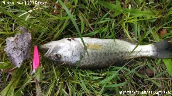 �֥�å��Х�