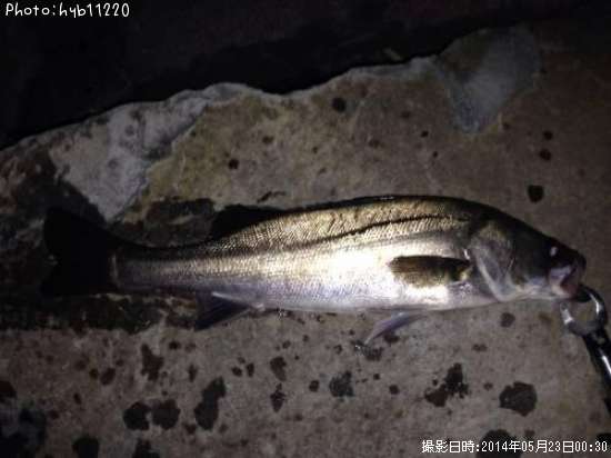 �����Х�