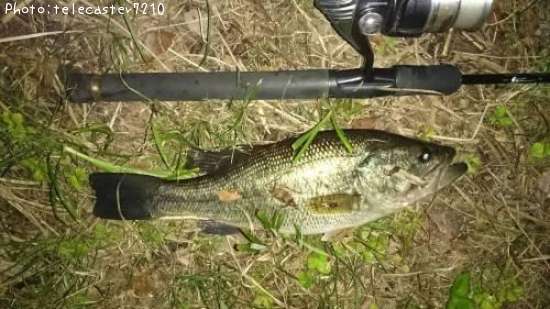 �֥�å��Х�