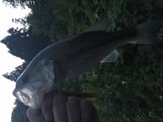 �֥�å��Х�