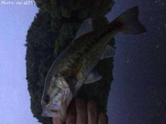 �֥�å��Х�