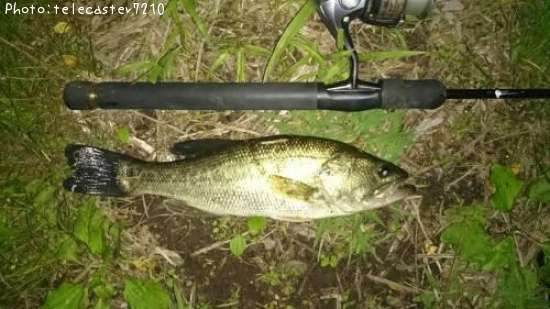 �֥�å��Х�