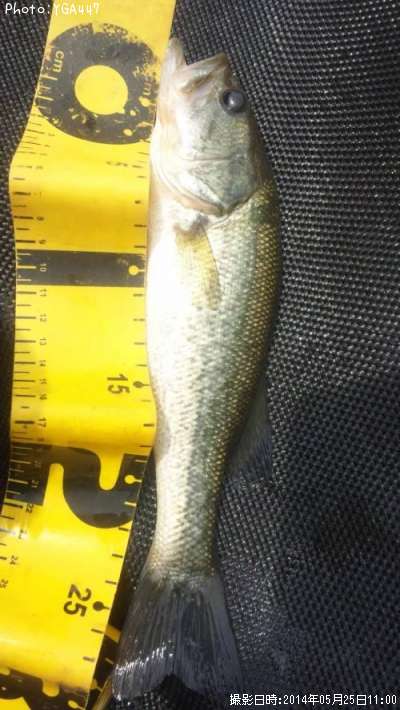 �֥�å��Х�