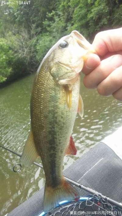 �֥�å��Х�