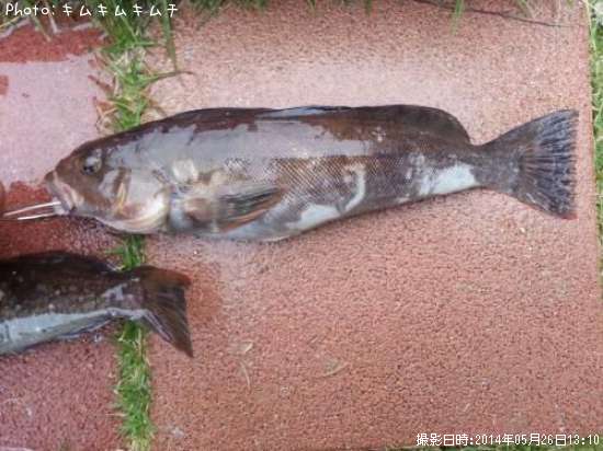 �����ʥ�