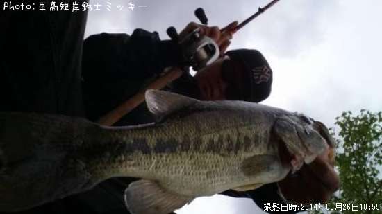 �֥�å��Х�