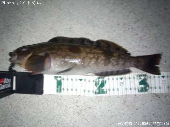 �����ʥ�