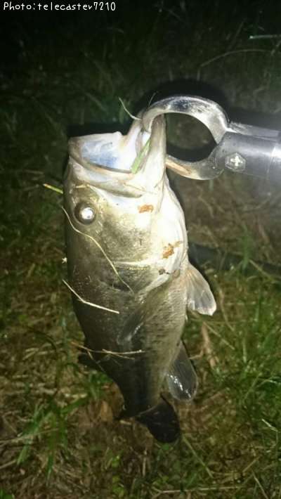 �֥�å��Х�