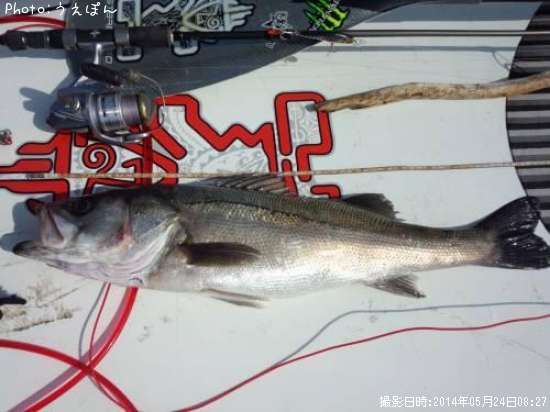 �����Х�