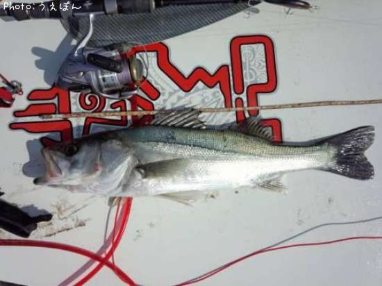 �����Х�