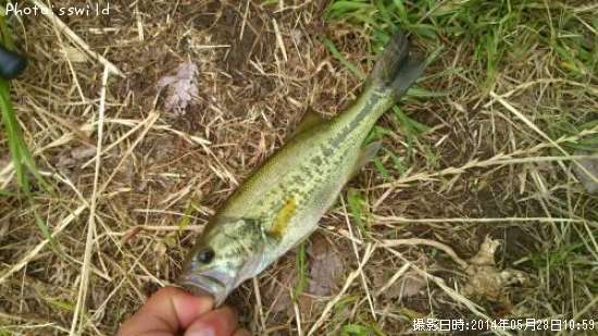 �֥�å��Х�