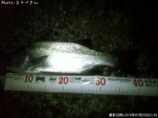 �ҥ饹����