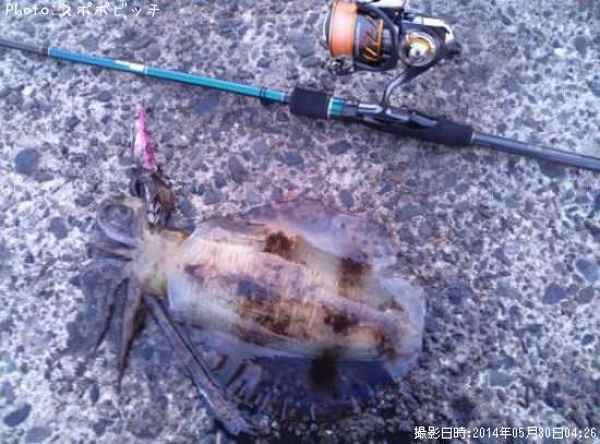 �����ꥤ��