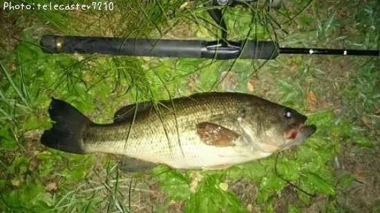 �֥�å��Х�