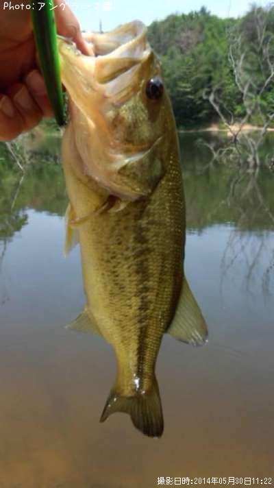 �֥�å��Х�