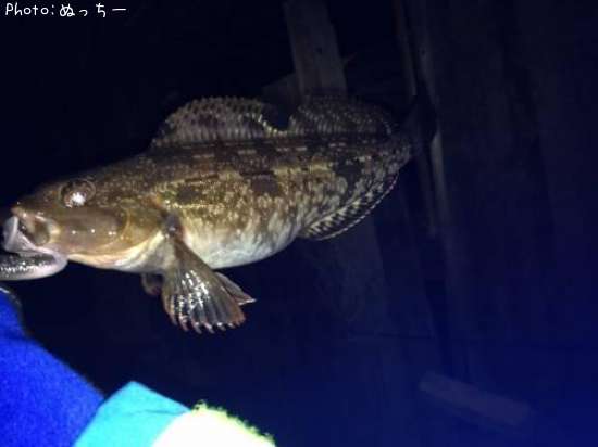 �����ʥ�