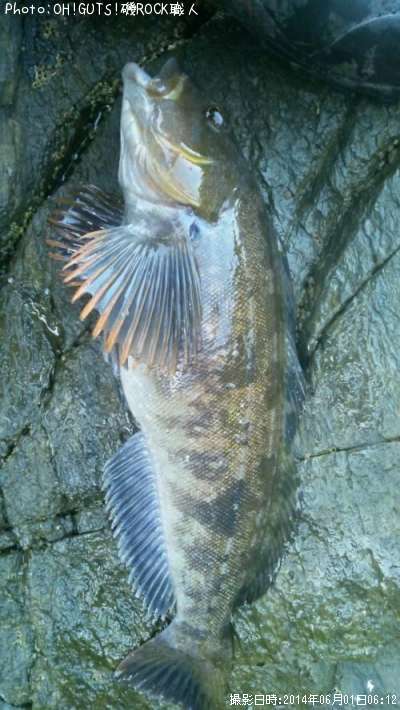 �����ʥ�