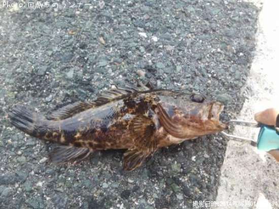 �����Υ���Х�