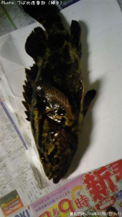 �٥å�������