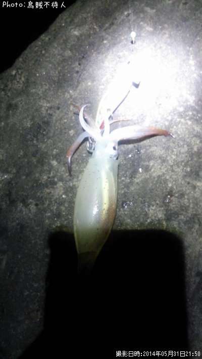 ���󥵥�����