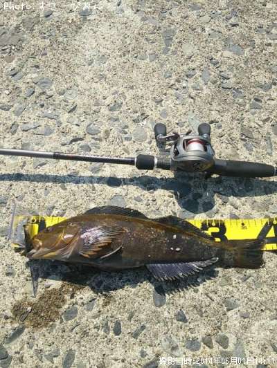 �����ʥ�