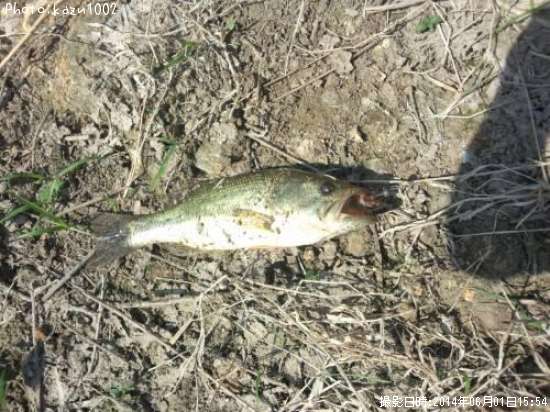 �֥�å��Х�