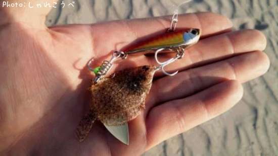 ���ä�����������ʿ��