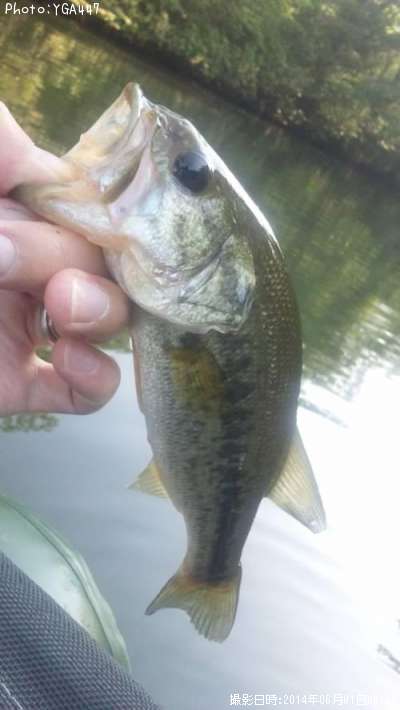 �֥�å��Х�