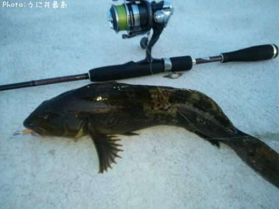 �����ʥ�