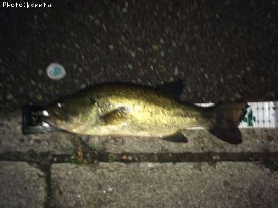 �֥�å��Х�