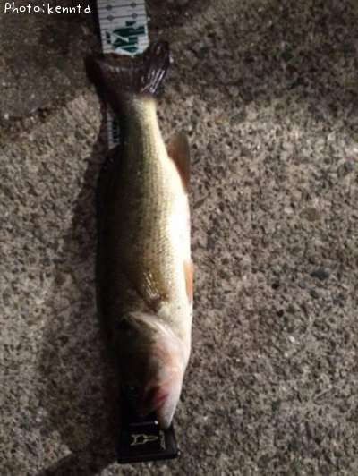 �֥�å��Х�