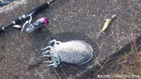 ����䥱����