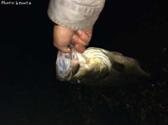 �֥�å��Х�