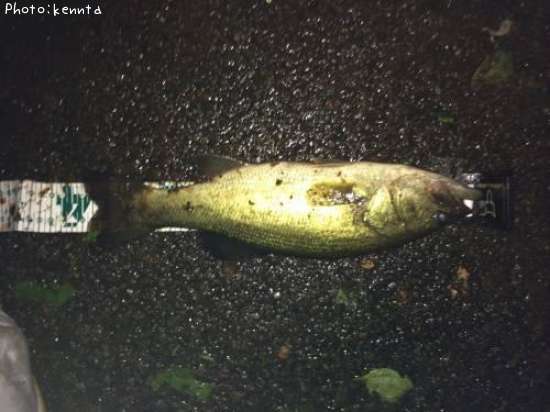 �֥�å��Х�