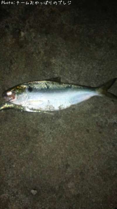 ���Υ���