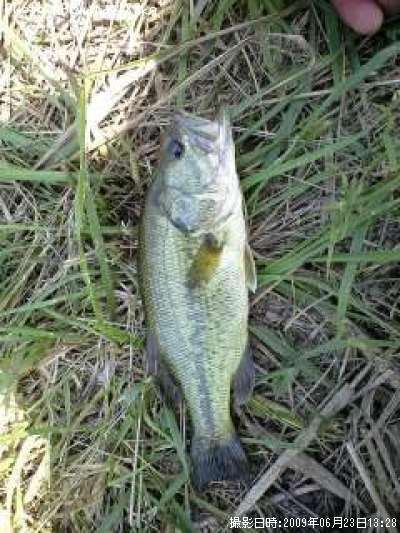 �֥�å��Х�