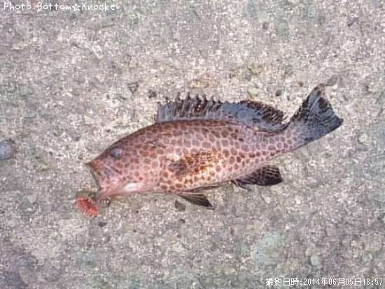 �������ϥ�