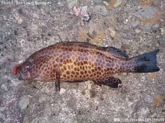 �������ϥ�