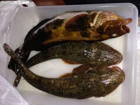 �����ʥᡡ�ޥ���