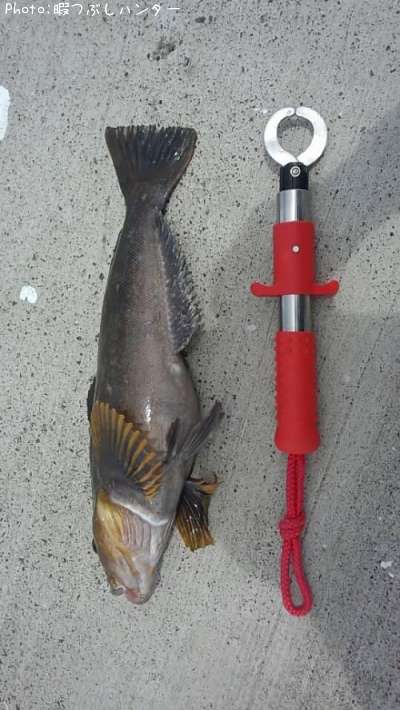 �����ʥ�