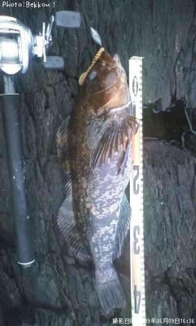 �����ʥ�