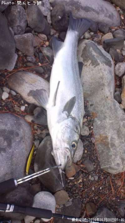 �ҥ饹����