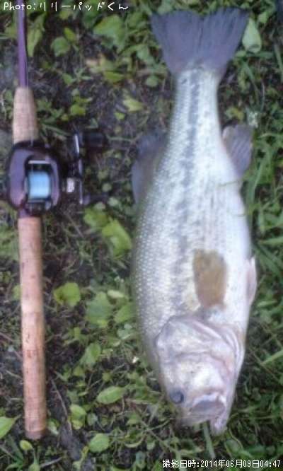 �£̣��ãˡ��£��ӣ�