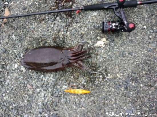 ��󥴥�����