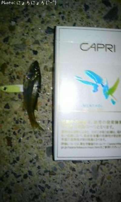 �����Ф���ʡ��١��ˡݡ�