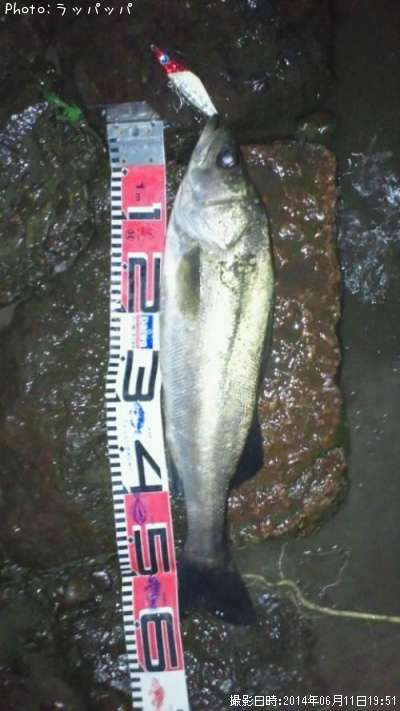 �����Х�